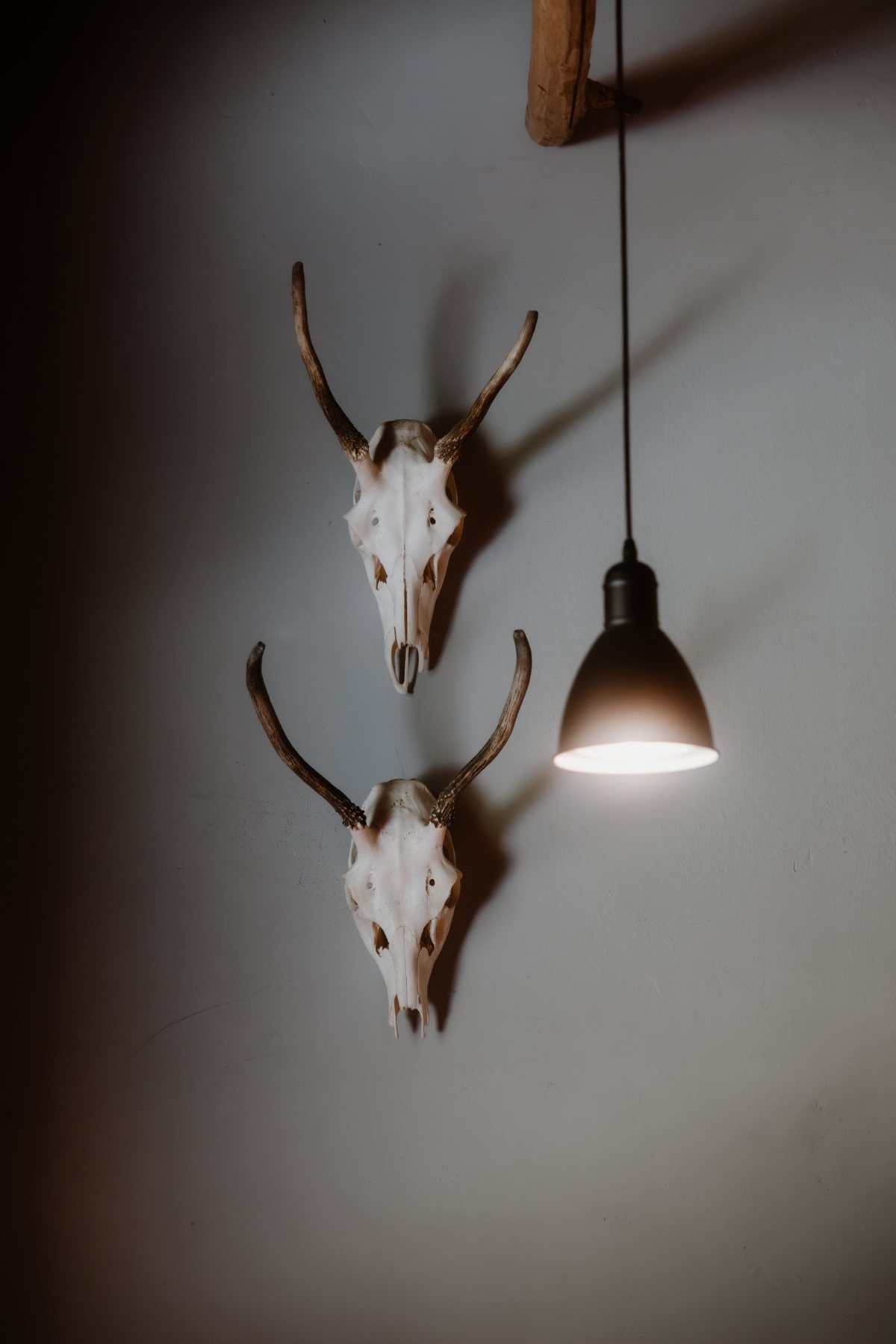 Charakteristisches Detail im Bodetaler mit Geweih und Lampe