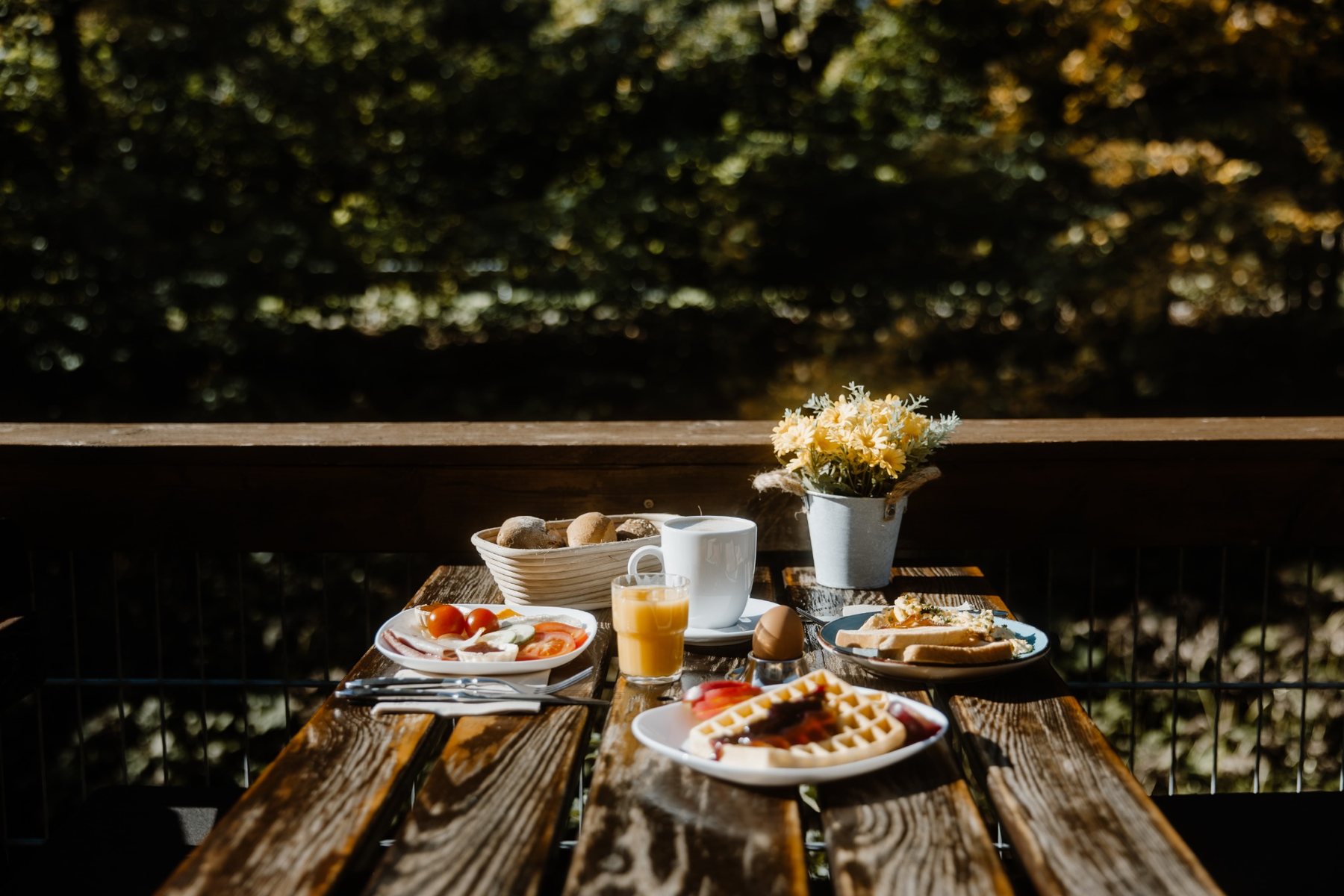 Frühstück auf der Terrasse im Bodetaler